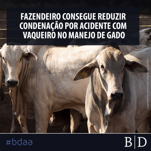 FAZENDEIRO CONSEGUE REDUZIR CONDENAÇÃO POR ACIDENTE COM VAQUEIRO NO MANEJO DE GADO
