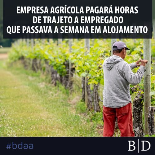 EMPRESA AGRÍCOLA PAGARÁ HORAS DE TRAJETO A EMPREGADO QUE PASSAVA A SEMANA EM ALOJAMENTO